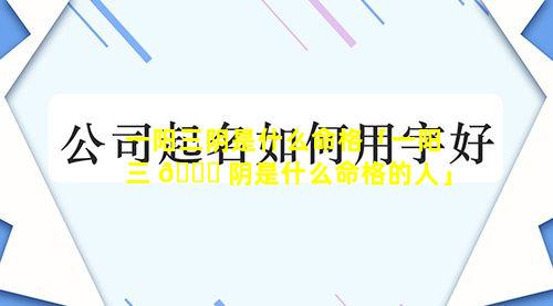 一阳三阴是什么命格「一阳三 🐒 阴是什么命格的人」